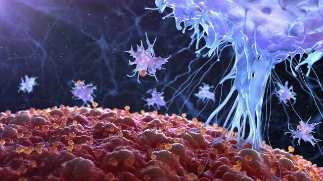 Ragon Study Finds Key Mechanism of Immune Evasion by SARS-CoV-2