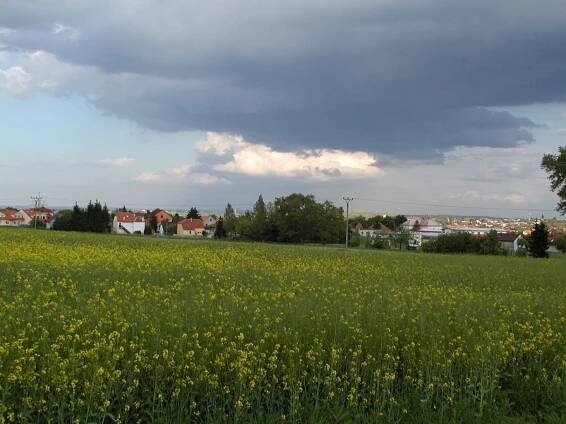 28.05.2006 | VaseByty