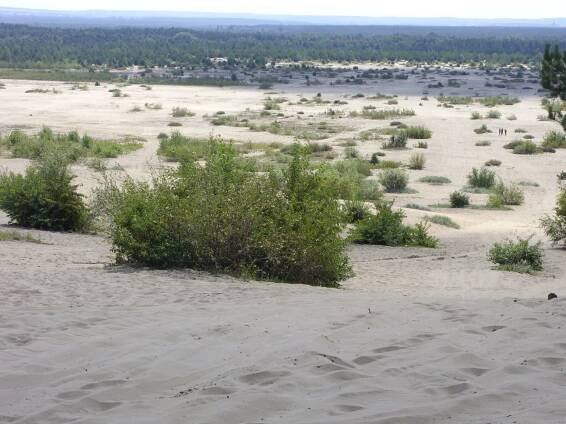 Pustynia Błędowska – Polska Sahara