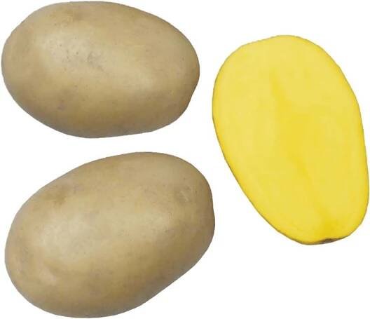 Sadbové brambory Alice - rané, varný typ B, 5 kg (BIOM)
