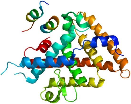 Liver receptor homolog-1