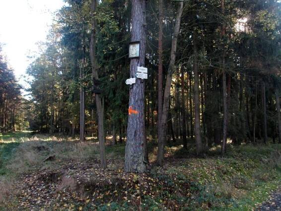 Obrázek v lese Doubrava severně od Tatiné | Drobné památky 