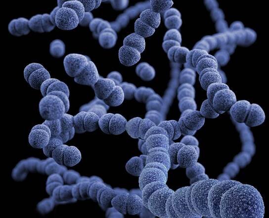 Vědci objevili nové antibiotikum. Zabíjí i bakterie odolné vůči lékům