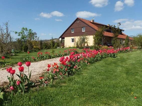 Apartmán Boroví - Srbsko