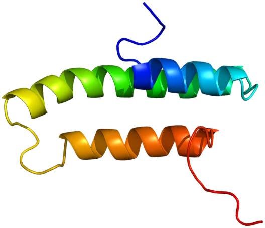 LDL-receptor-related protein-associated protein