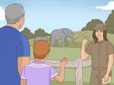 How to Behave in a Zoo: 8 Steps (with Pictures) - wikiHow