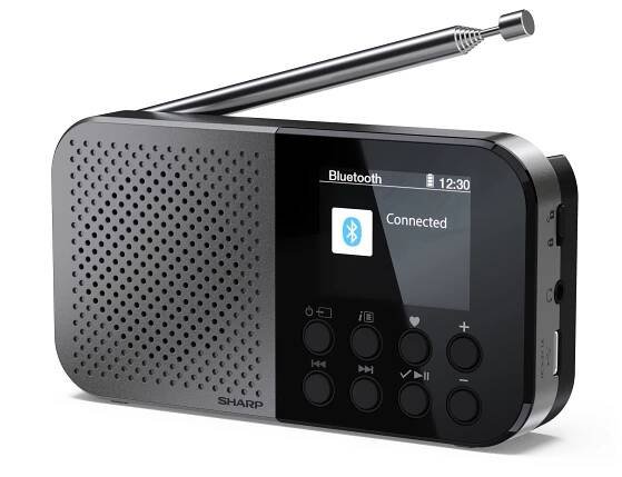 Síťové rádio DAB+, FM, internetové Sharp DR-P520GY