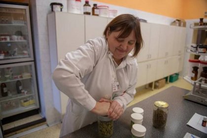 Vedoucí lékárny Mgr. Monika Pecháčková se chystá připravovat tobolky pro pacienty.