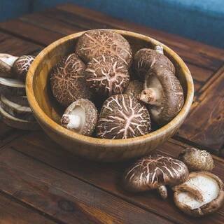 Scuk.cz BIO True Shiitake čerstvé, 200 g