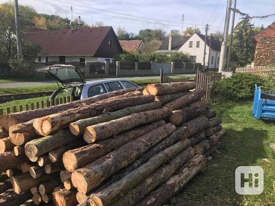 Palivové dřevo - foto 1