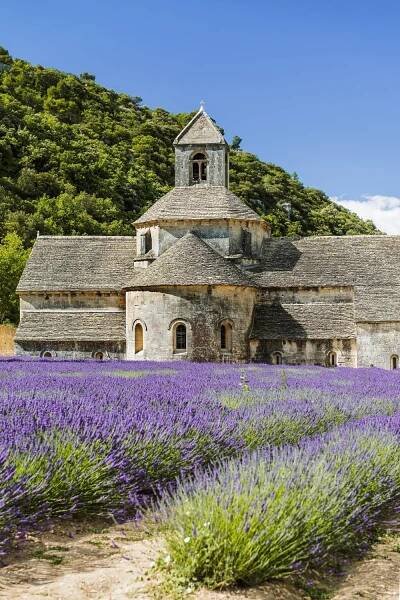 levandulová pole Provence Francie