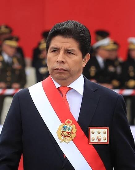 Soubor:Pedro Castillo (cropped 2).png