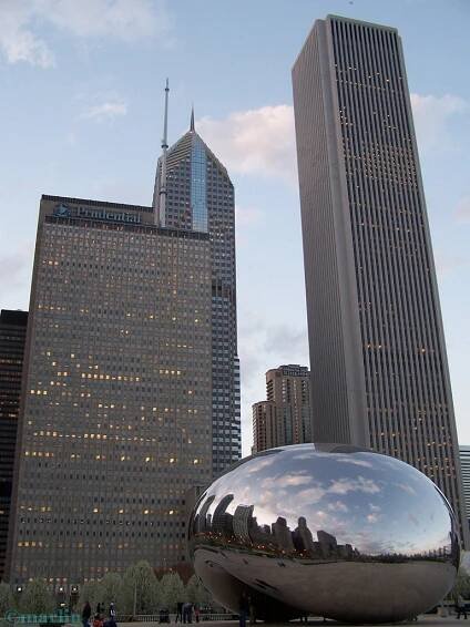 Chicago, Illinois - The Bean: Cloud Gate Sculpture at Millennium Park - North American Insects & spiders