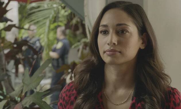 Havaj 5-0 - Neviditelný řidič - Z filmu - Meaghan Rath