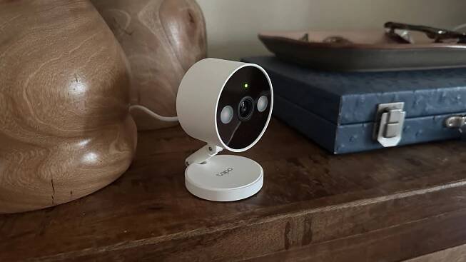 The best pet cameras in 2025, tried and tested