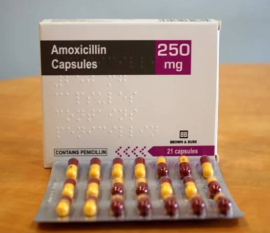 Amoxicillin 250 mg cena