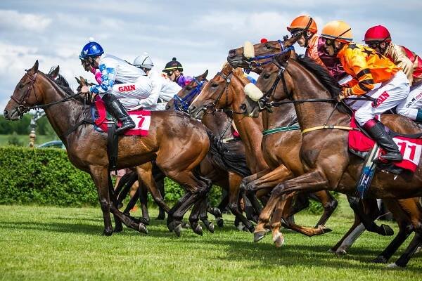 Most 23.6.2013 | GALOPP REPORTER