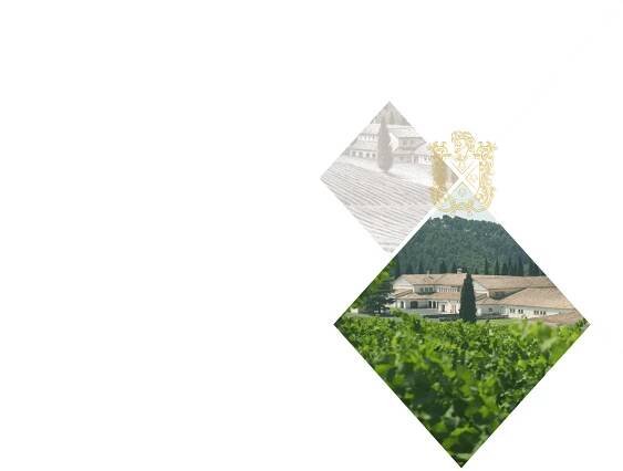 La Bodega - Señorío de Sarría - BORNOS Bodegas y Viñedos
