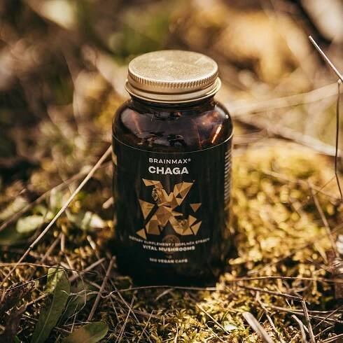 BrainMax Chaga extrakt 100 kapslí