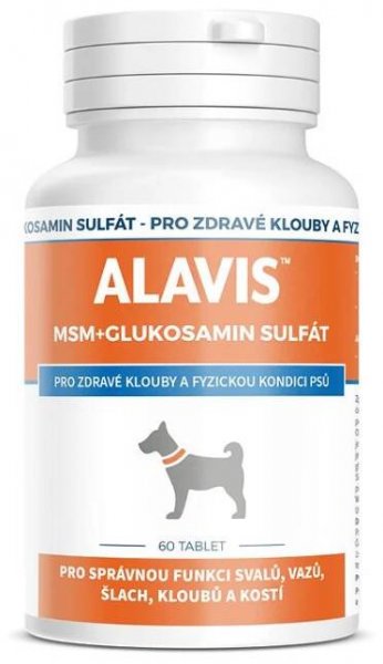 ALAVIS MSM + glukosamin sulfát 60tbl