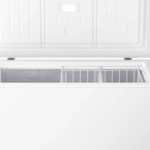 CH FREEZ ZS22082 FHC22A6W5 GOR