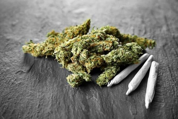Marijuana buds and joints on a dark surface.