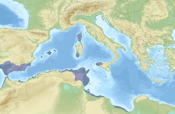 Korsika – Wikipedie