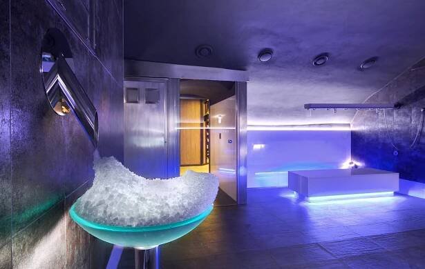 Wellness
