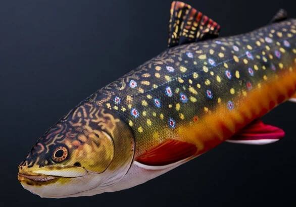 Polštář Siven americký - 62cm