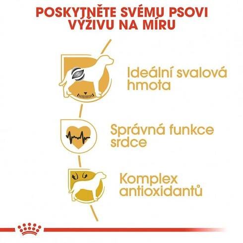 Royal Canin Boxer 12 kg
