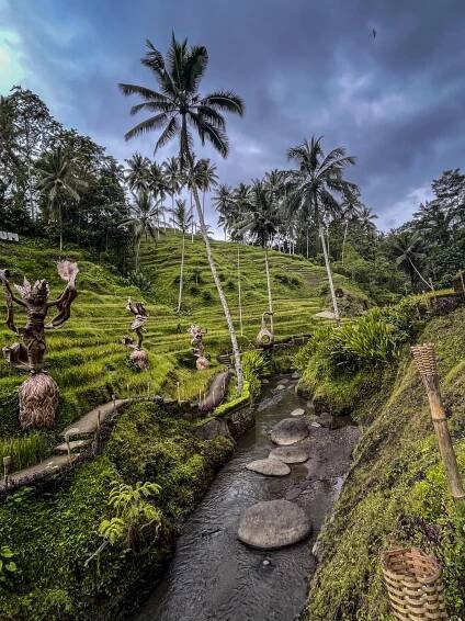 7 Of The Best Coastal Cities For Digital Nomads | Niv Travels