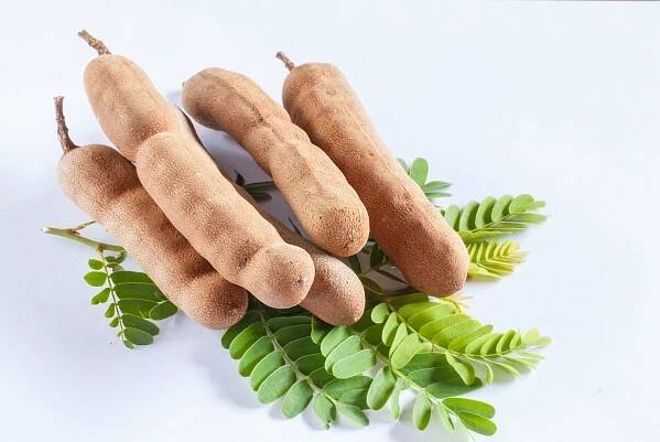 Tamarind: Exotická chuť, která vás dostane!