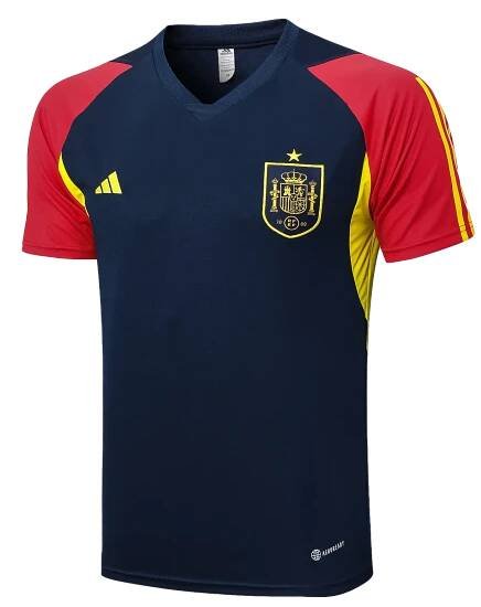 spaintraining