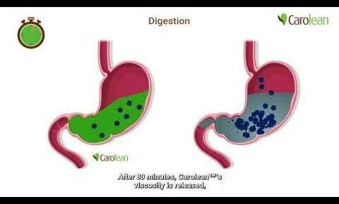 Carolean: New Synergistic complex for Appetite control
