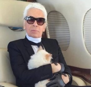 Kočka Karla Lagerfelda Choupette - 2 - GALERIE: Kočka Karla Lagerfelda bude dědit jeho majetek (1/7)