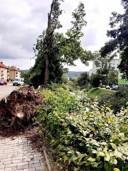 VIDEO: Bouře se ve čtvrtek prohnala Luhačovicemi, místní mluví o tornádu