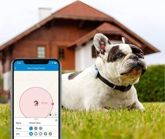 Tractive GPS DOG 4 – GPS sledování polohy a aktivity pro psy