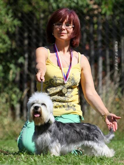 Boleslav 2015 - Ze žihelské zahrady