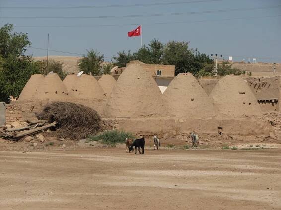 Soubor:Harran2.jpg – Wikipedie