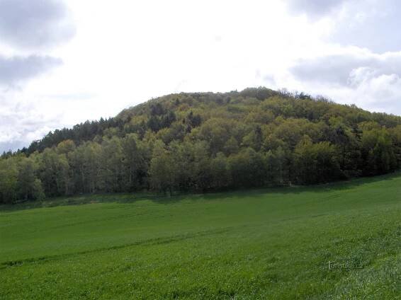 Vrch Liščín - Kopec