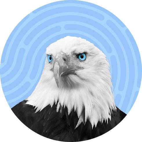 CEO of Eagle Eye Screening Solutions