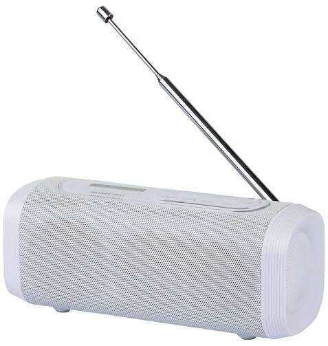 Nevíte, co pod stromeček? Co takhle levnou kombinaci Bluetooth repro a DAB? | Televizniweb.cz