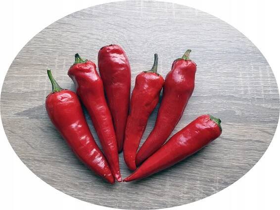 Cyklon polské Jalapeno super semena od pali2razy