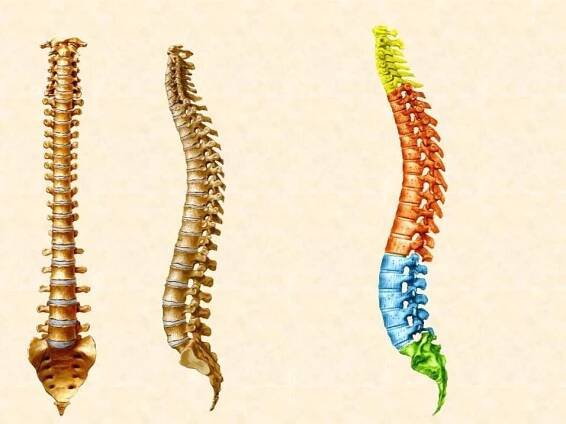 Osteochondróza krční páteře: příznaky a léčba dostupná doma