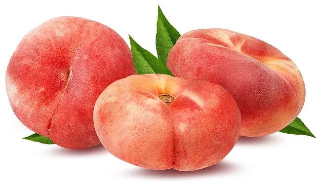 2023 FRUIT TREE VARIETIES - Payne's Nurseries