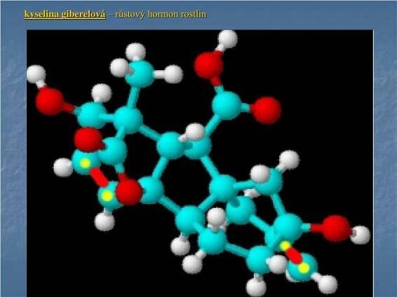 PPT - Terpeny PowerPoint Presentation, free download - ID:3474270