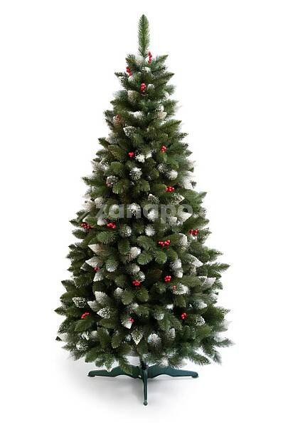 Borovice Vánoční s červenými bobulemi 2D 220 cm