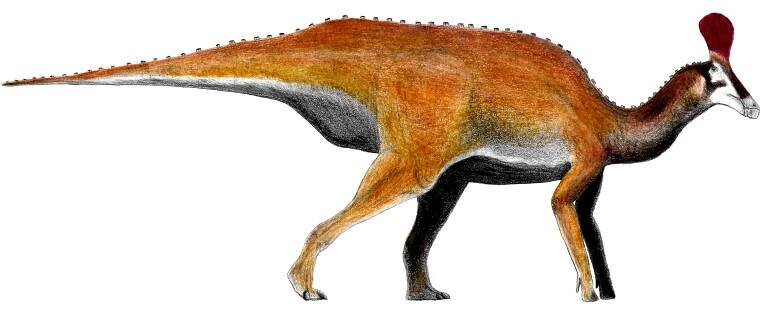 Adynomosaurus