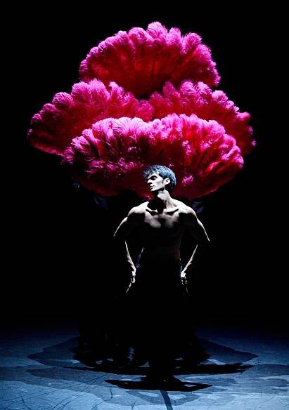 1. Constantine Allen in Fancy Goods by Marco Goecke, Stuttgart Ballet 2013, photo Stuttgart Ballet