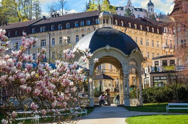 HOTEL KRIVAN - Specialty Hotel Reviews (Karlovy Vary, Czech Republic)